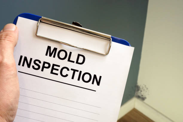 Why You Should Choose Our Mold Remediation Services in Fairless Hills, PA